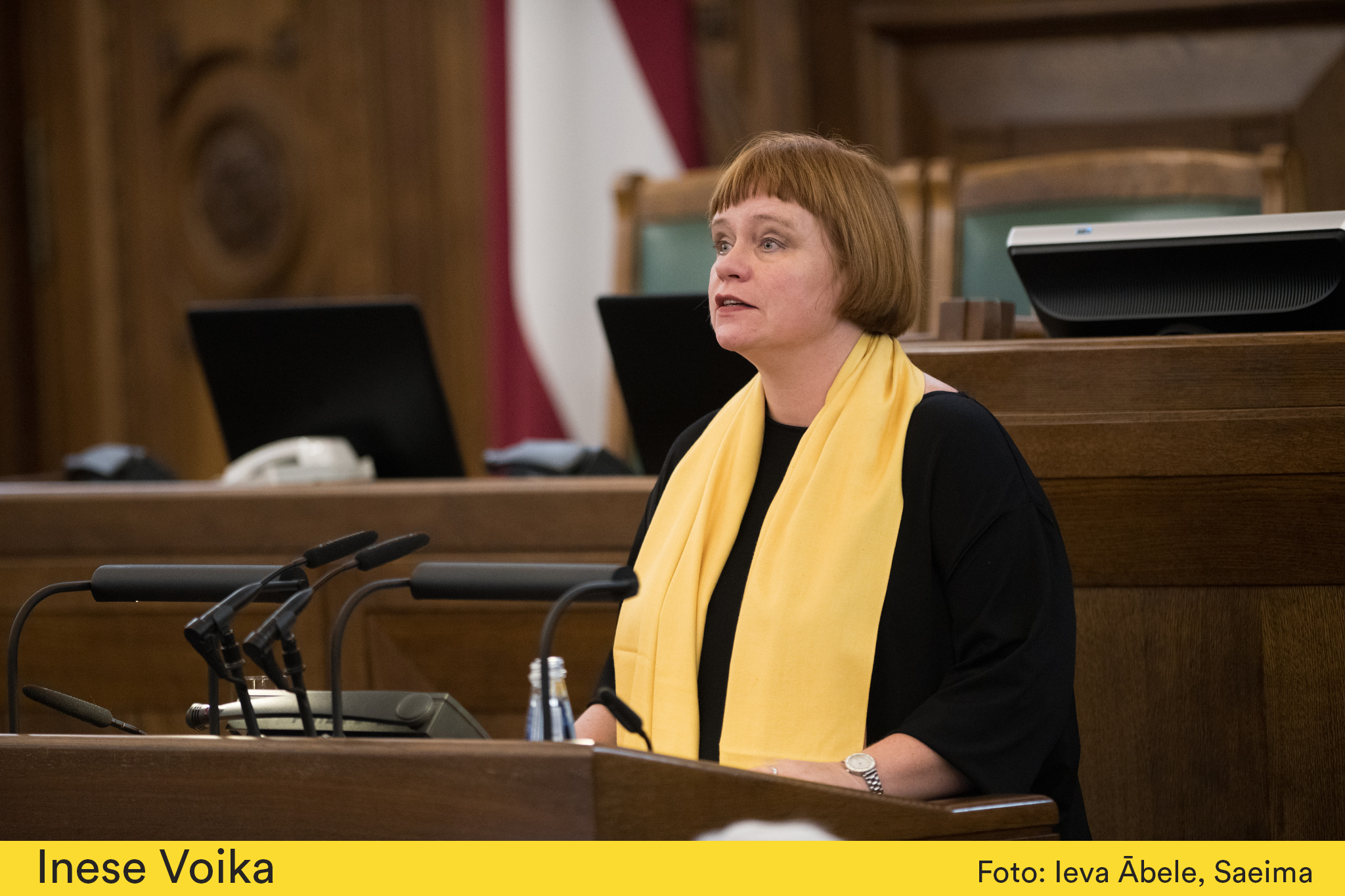 Inese Voika: Latvijā ekonomika aug, bet korupcija nemazinās